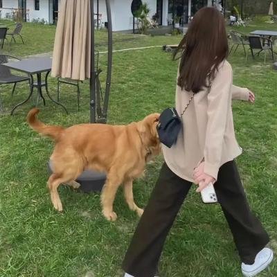 破鞋 在线观看